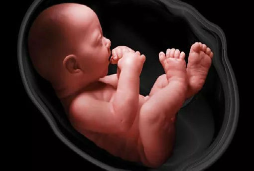 Kako nastaju domene - Honorarni Posao - Domaining